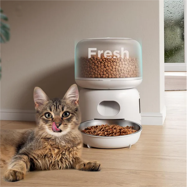 Automatic Feeder