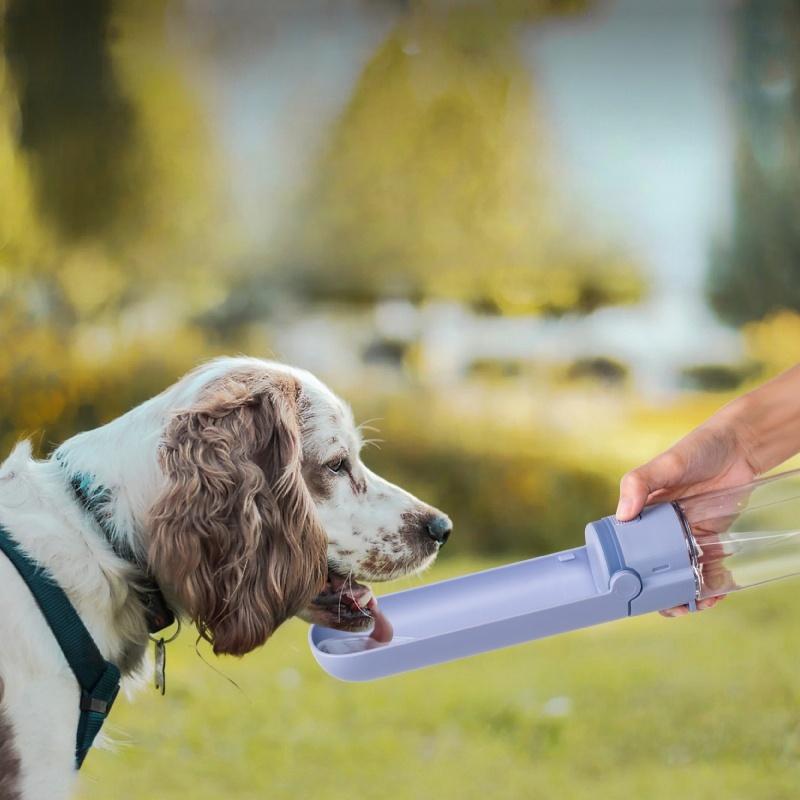 Portable Water Bottle