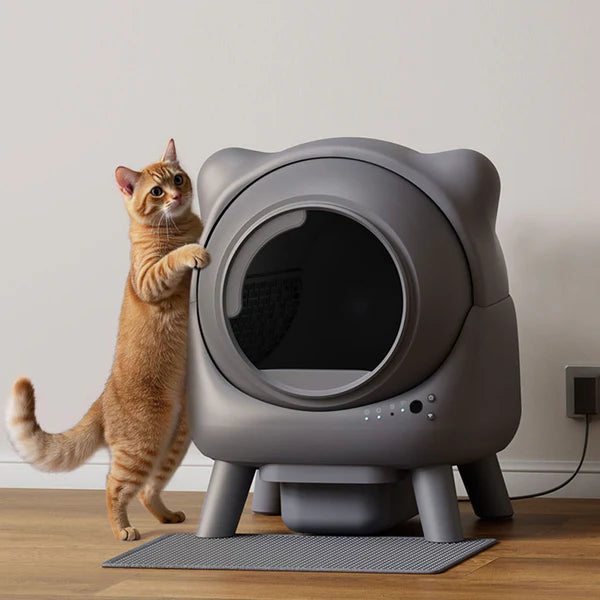 Self Cleaning Litter Box