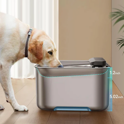 Stainless Steel Water Fountain