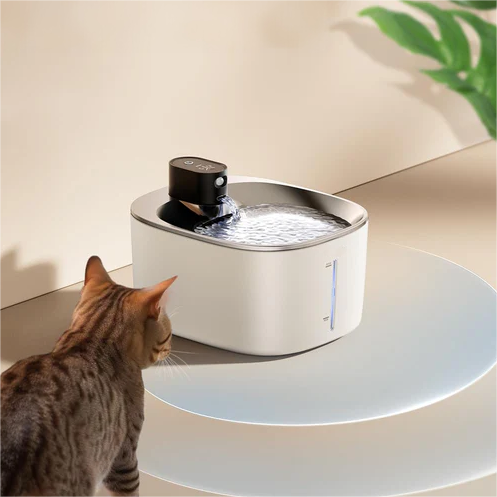 Wireless Water Fountain