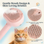 3 in 1 Self-Cleaning Steam Brush