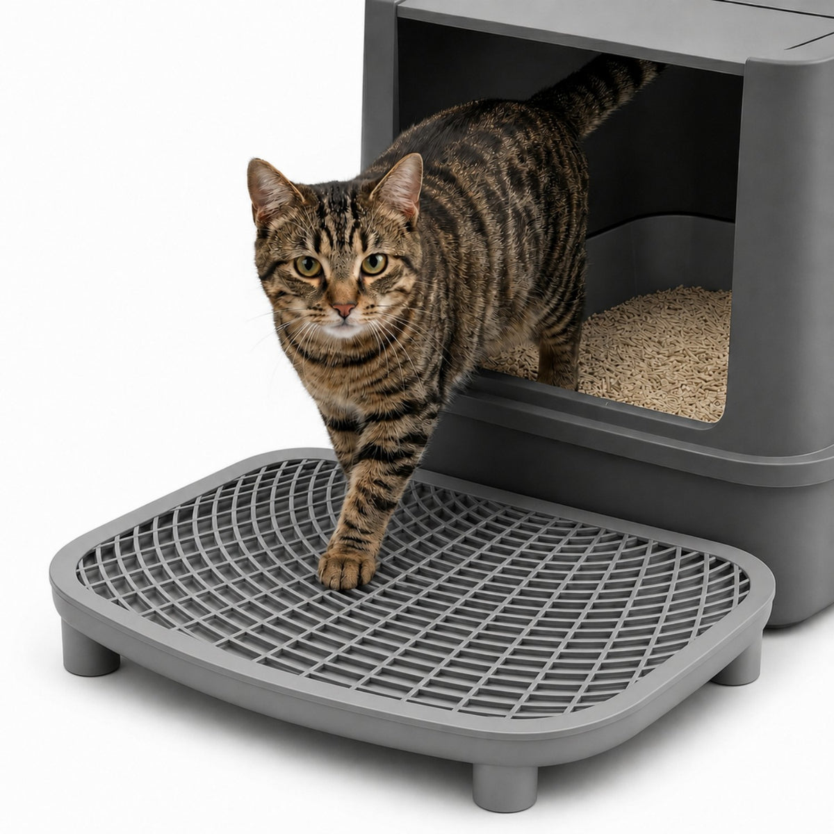 Adjustable Cat Litter Box Ramp, Large 20"x16" Anti-Tracking DoublLayer Platform with Mesh Sifter, Removable Tray for Easy Wash, Ideal for Small & Elderly Cats