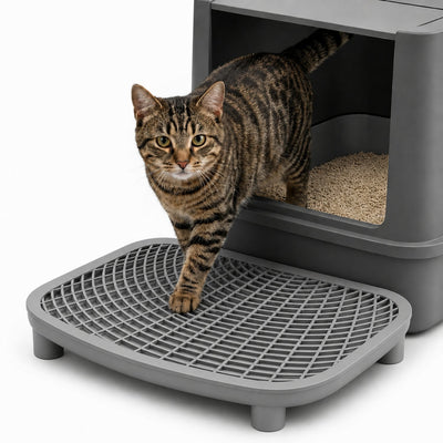 Adjustable Cat Litter Box Ramp, Large 20"x16" Anti-Tracking DoublLayer Platform with Mesh Sifter, Removable Tray for Easy Wash, Ideal for Small & Elderly Cats