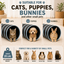 5-Way Collapsible Cat Tunnel for Indoor Cats