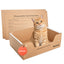 Leakproof High Sided Disposable Cat Litter Box, X Large, 3 Count