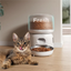 Automatic Feeder