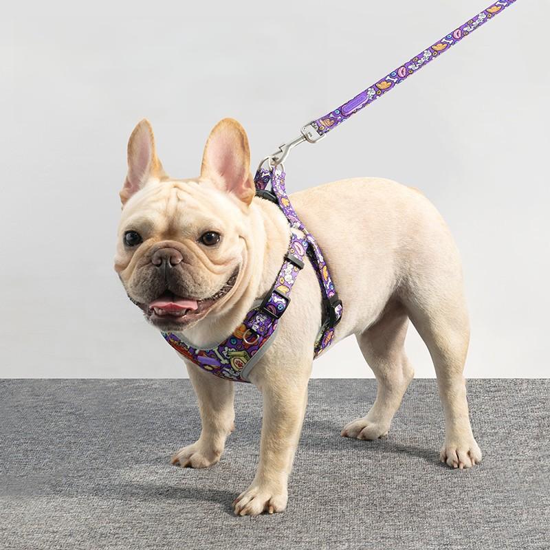 Chest Harness