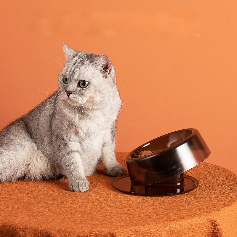 Feeding Bowl