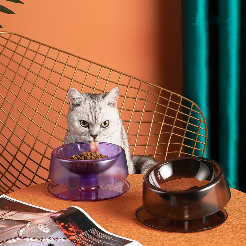 Feeding Bowl