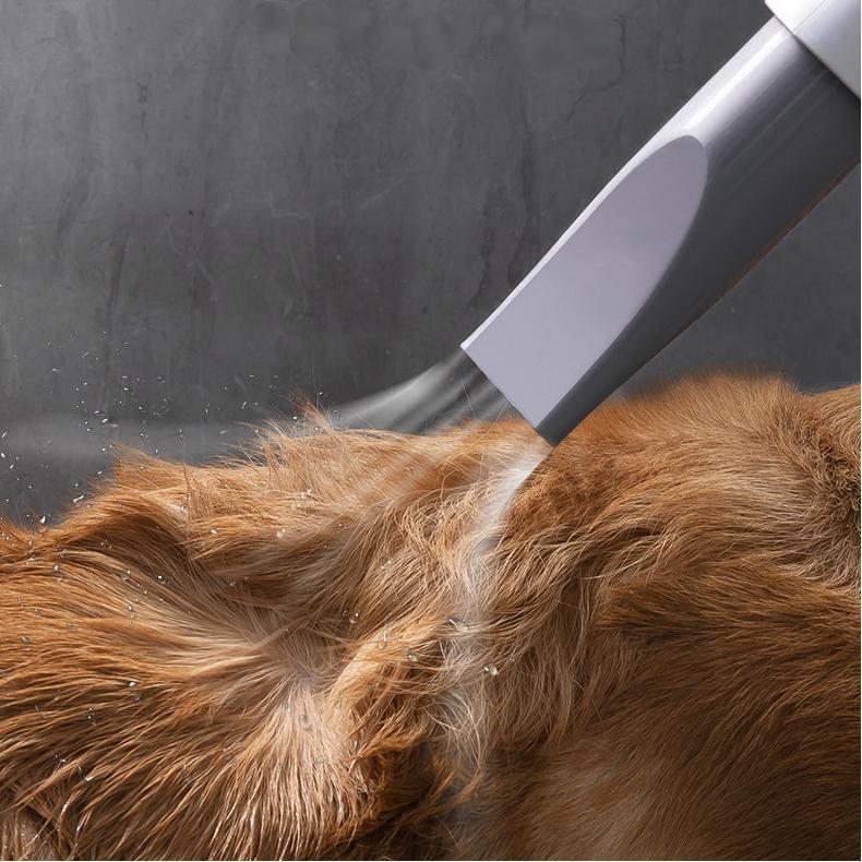 Pet Hair Dryer