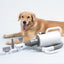 Pet Hair Dryer