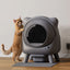 Self Cleaning Litter Box