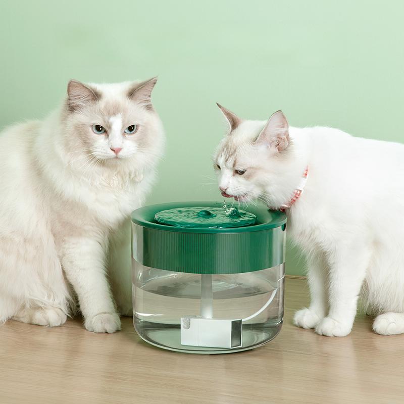 Water Fountain