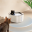 Wireless Water Fountain