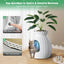 Hidden Smart Cat Litter Box