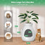 Hidden Smart Cat Litter Box